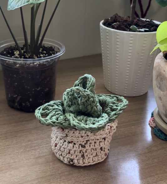 crochet plant coaster set of 6